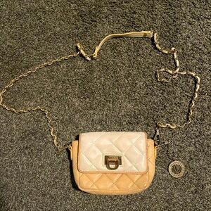 DKNY purse